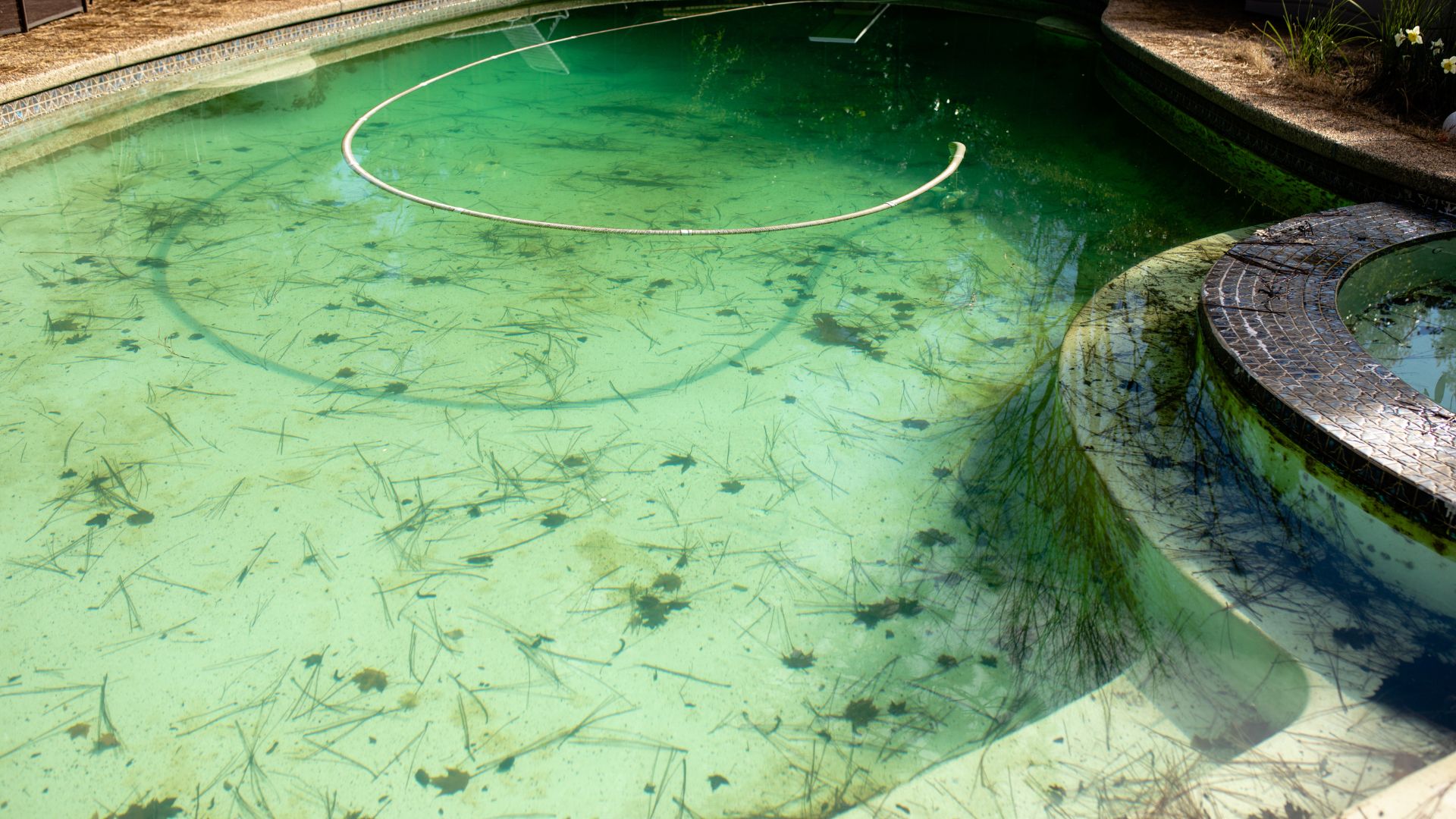 Algae Control and Prevention Algae Control and Prevention